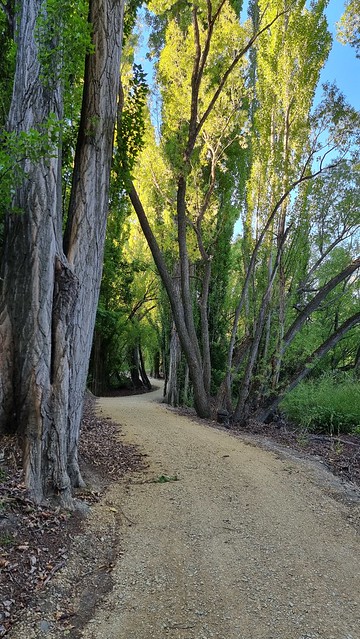 Roxburgh Gorge Trail