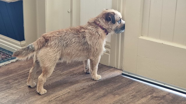 Waitaki Braids welcoming party