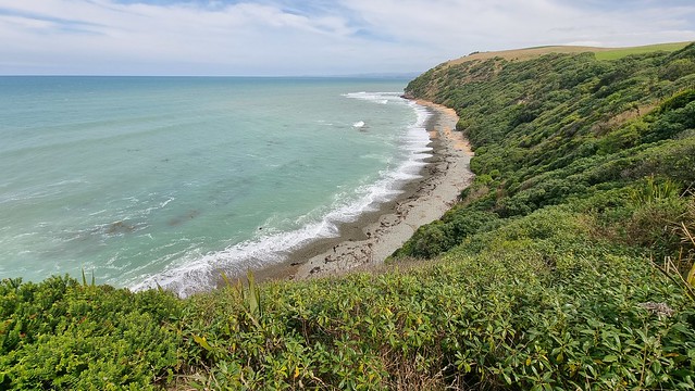 Bushy Beach Scenic Reserve