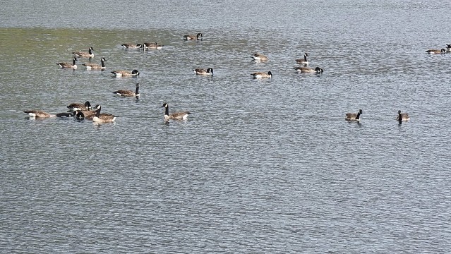 Lake Benmore | A2O Trail