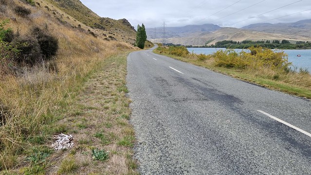 Te Akatarawa Rd Wallaby, Lake Aviemore
