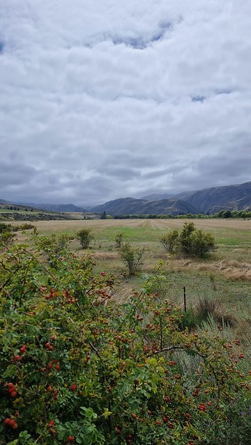 Te Akatarawa Rd views