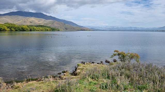 Lake Benmore | A2O Trail