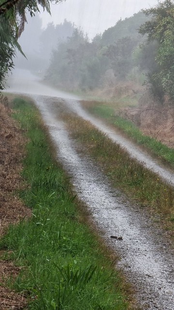 It wouldn't be the West Coast without...