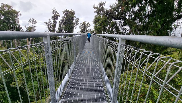West Coast Treetop Walkway
