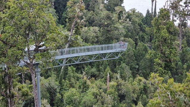 West Coast Treetop Walkway