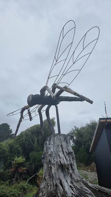 West Coast Scenic Waterways