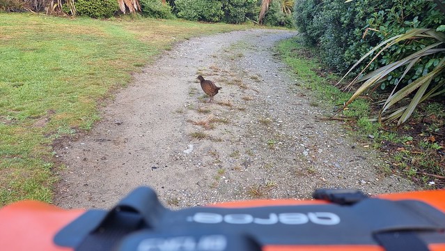 A West Coast traffic jam