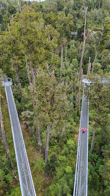 West Coast Treetop Walkway