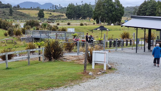 West Coast Treetop Walkway & Café
