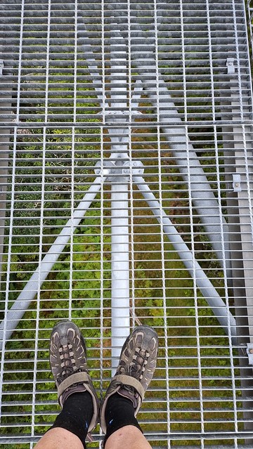 West Coast Treetop Walkway