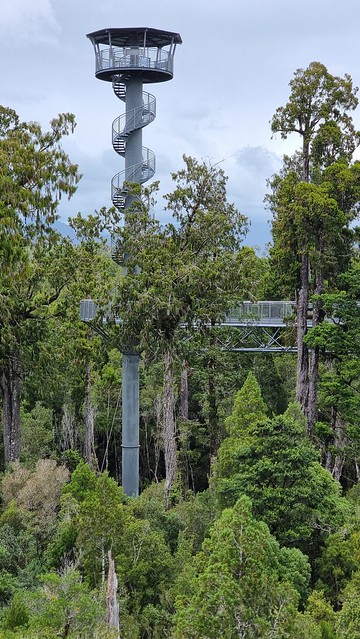 West Coast Treetop Walkway Tower