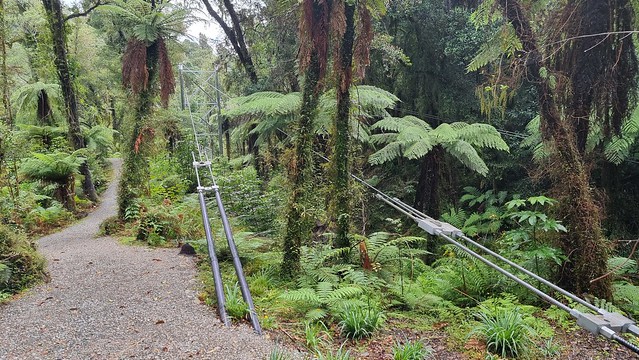 Hokitika Gorge Walk