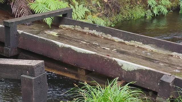 West Coast Wilderness Waterway Bike Path over stream over water race