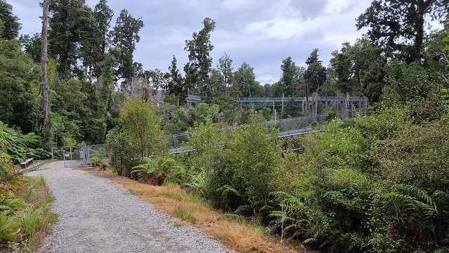 West Coast Treetop Walkway
