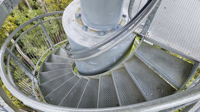 West Coast Treetop Walkway
