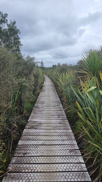 Mahināpua Creek / Tūwharewhare
