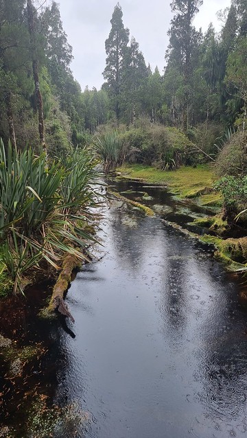 Mahināpua Creek / Tūwharewhare