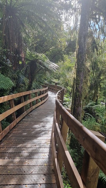 Hokitika Gorge Walk