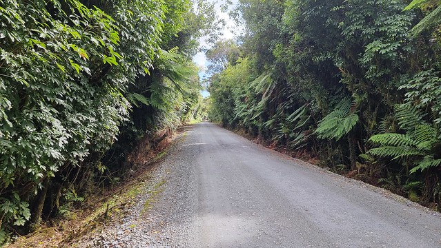Towards Lake Kaniere
