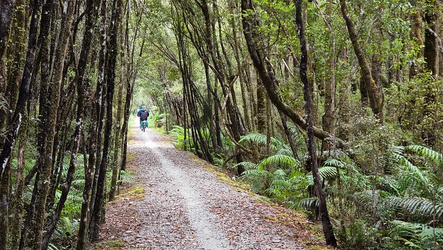 Back on the trail, Mananui Tramline