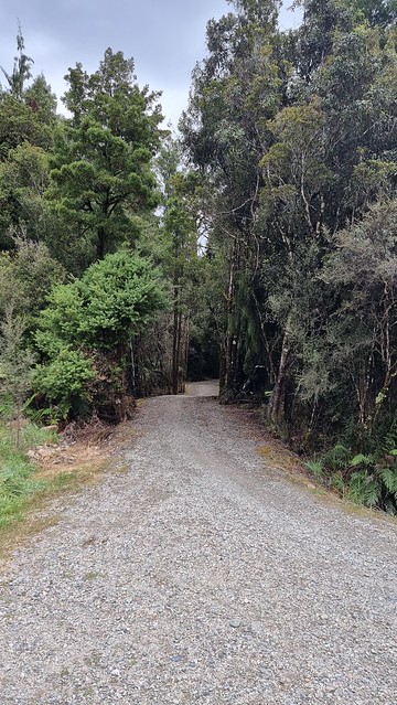 Kaniere Tram Road