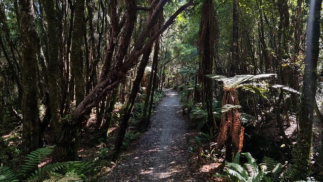 West Coast Wilderness Trail