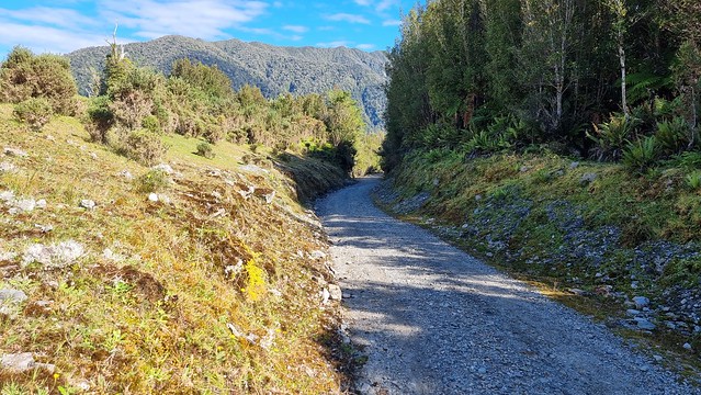 West Coast Wilderness Trail