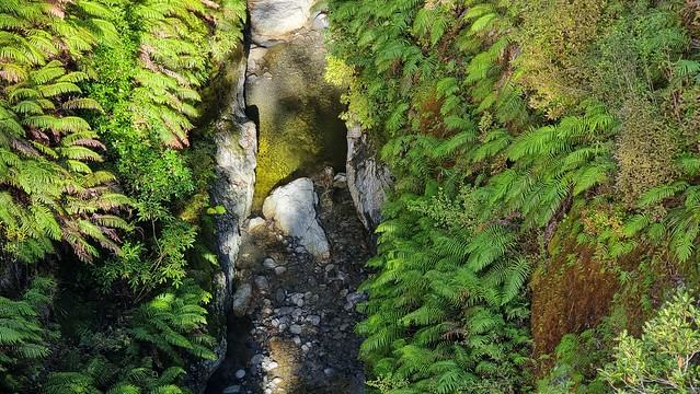 West Coast Wilderness Trail