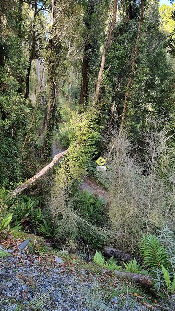 Some of the switchbacks