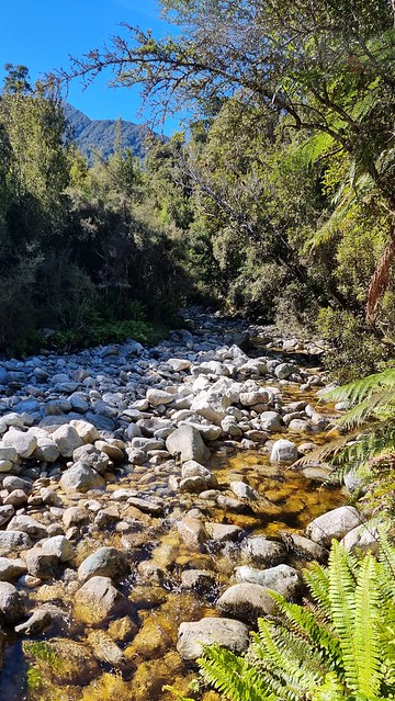 West Coast Wilderness Trail