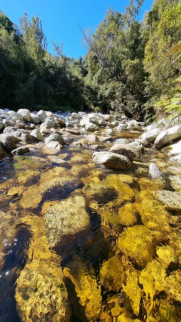 West Coast Wilderness Trail