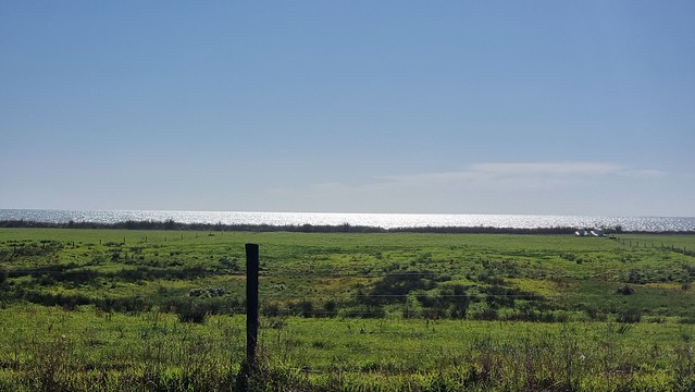 Late afternoon sun on the Tasman