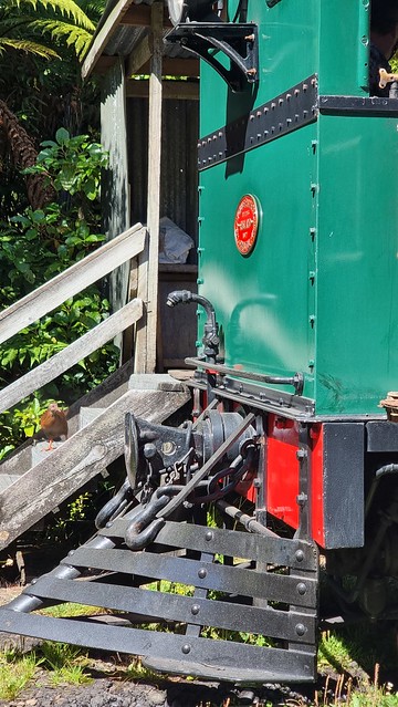 Greymouth Bush Railway Weka | Shantytown