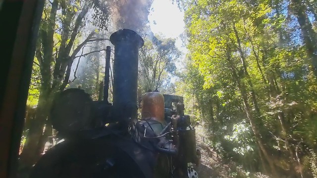 Greymouth Bush Railway | Shantytown