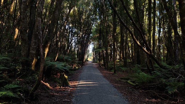 West Coast Wilderness Trail