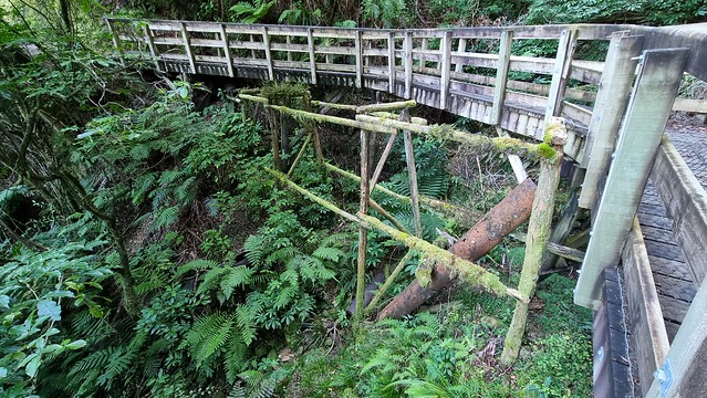 Ross Water Race Walkway