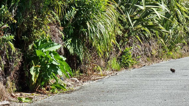 Paparoa Park Motels Blowhole Cottage