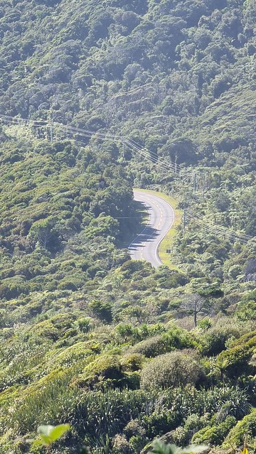 Coast Road near Punakaiki