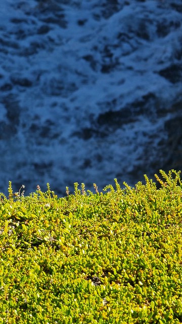 Punakaiki Pancake Rocks