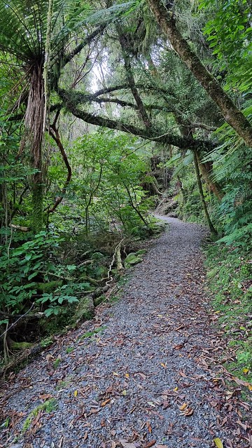 Ross Water Race Walkway