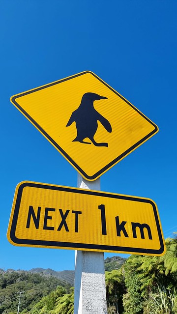 The best traffic sign