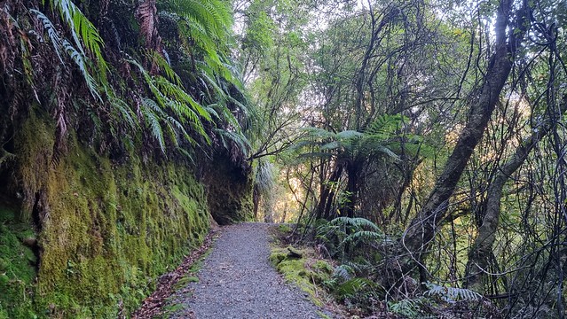 Ross Water Race Walkway