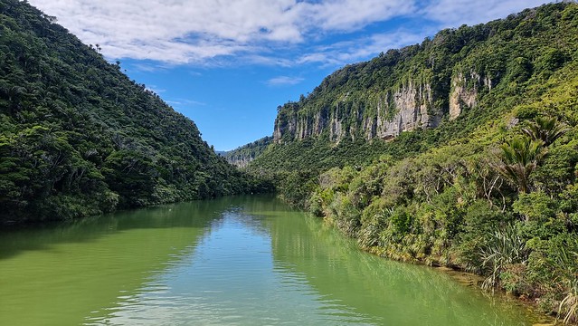 Paparoa River bliss
