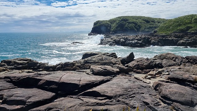 Charleston Headland Trail