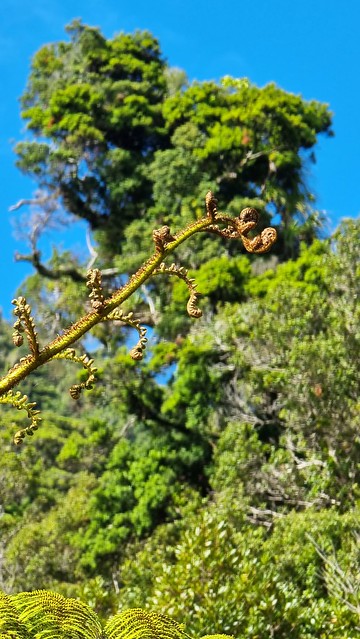 Great Coast Road | Punakaiki to Charleston