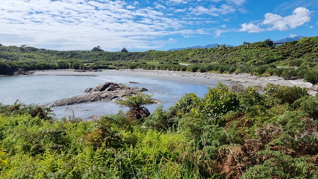 Charleston Headland Trail