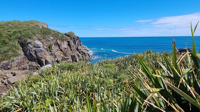Charleston Headland Trail