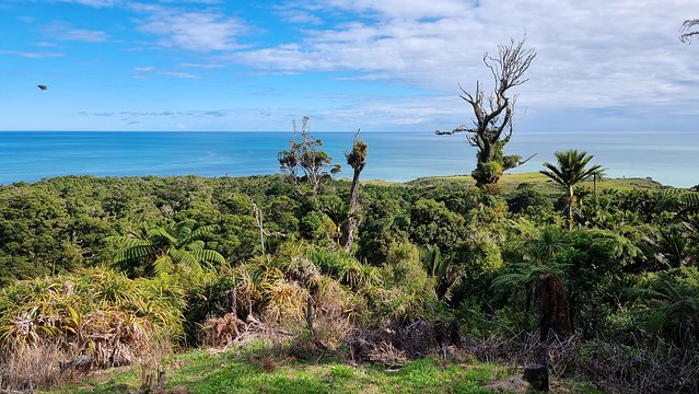 Great Coast Road | Punakaiki to Charleston