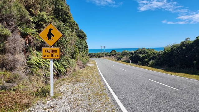 Penguin Warning Great Coast Road | Punakaiki to Charleston